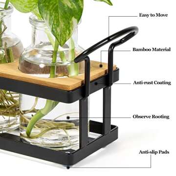 THYGIFTREE Plant Propagation Stations with Metal Stand, Tabletop Plant Terrarium for Propagating Hyd...