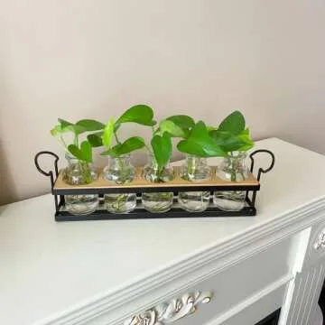 THYGIFTREE Plant Propagation Stations with Metal Stand, Tabletop Plant Terrarium for Propagating Hydroponic, Retro Glass Planter Flower Vase Home Kitchen Office Decor, Plant Lover Gifts, 5 Jars