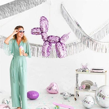 10 Feet Silver Foil Fringe Garland for Any Celebration