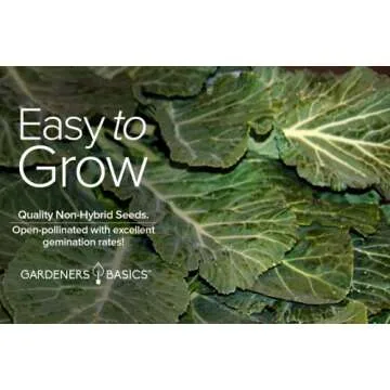 Georgia Southern Collard Greens Seeds for Thriving Gardens