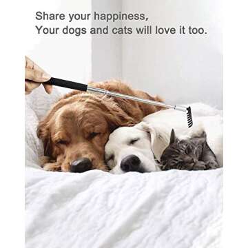 ONEEKK Portable Extendable Back Scratcher, 2 Pack Metal Telescoping Backscratchers for Adults, Kids,Dogs Itch Scratcher with Beautiful Gifts Packaging