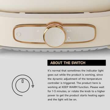 Dezin Dual Flavor Electric Hot Pot with Divider, 5.5L