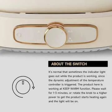 Dezin Dual Flavor Electric Hot Pot with Divider, 5.5L