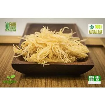 Dried Sea Moss (3 Oz (pack of 2)) - Caribbean Superfood - Wildcrafted Seedstock - Ethically Harvested - Makes 4 Quarts Gel