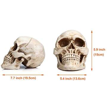 READAEER Resin Skull, Human Skull Model for Home Decoration, Halloween Skull Statue, Human Adult Sku...