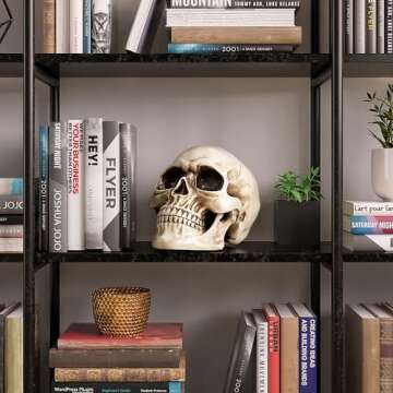 READAEER Resin Skull, Human Skull Model for Home Decoration, Halloween Skull Statue, Human Adult Skull Head Bone Model (White)
