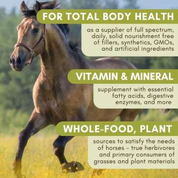 Wholistic Pet Organics Equine Complete: Horse Multivitamin for Total Body Health - Horse Supplement ...