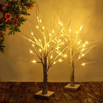Lighted Birch Tree 2FT with Timer - Christmas Decor