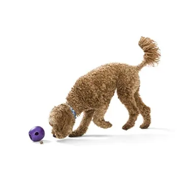 West Paw Zogoflex Rumbl Treat Toy for Interactive Dog Fun