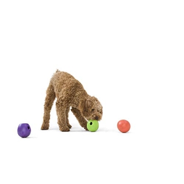 West Paw Zogoflex Rumbl Treat Toy for Interactive Dog Fun