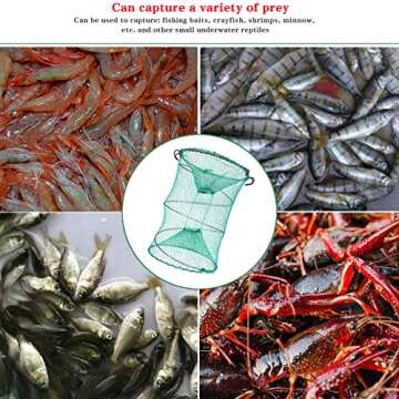 Drasry Foldable Fishing Trap for Bait Shrimp Crawfish Minnow Net Portable Accessories 11.8 x 11.8 x 15.7 (30cm x 40cm) 1/4 in Mesh Collapsible Fish Trap (1PCS)