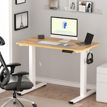 FLEXISPOT Electric Adjustable Height Standing Desk for Home