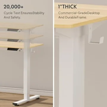 FLEXISPOT Electric Adjustable Height Standing Desk for Home