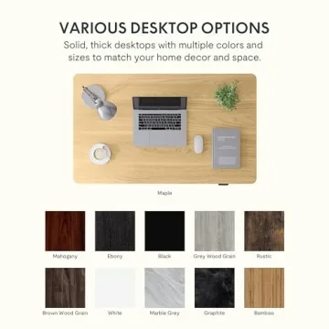 FLEXISPOT Electric Adjustable Height Standing Desk for Home