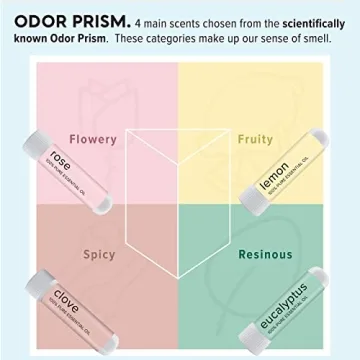 MOXĒ Smell Training Kit 4 Essential Oils Restore Smell