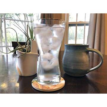 Set of 4 Coasters for Drinks with Cork Base, Tropical Beach Theme, No Holder, Round Stone Drink Mat for Wood Table, Housewarming Room Bar Decor for Your Tropical Home Cottage 02108 Parrot Coaster