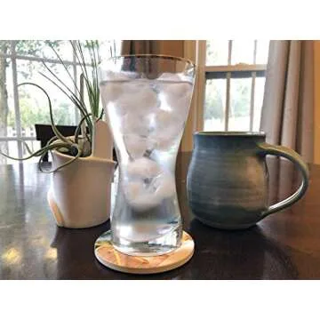 Set of 4 Coasters for Drinks with Cork Base, Tropical Beach Theme, No Holder, Round Stone Drink Mat for Wood Table, Housewarming Room Bar Decor for Your Tropical Home Cottage 02108 Parrot Coaster