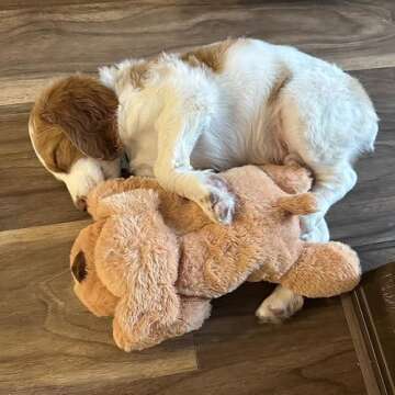 Snuggle Puppy Original Junior Dog Toys - Heartbeat Puppy for Dogs- Behavioral Aid Puppy Toys for Sleep Aid and Dog Anxiety Relief (Biscuit)