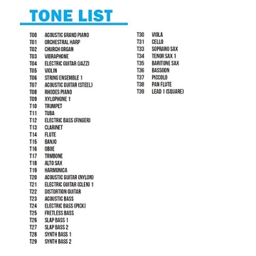 Plixio 61-Key Portable Keyboard for All Ages