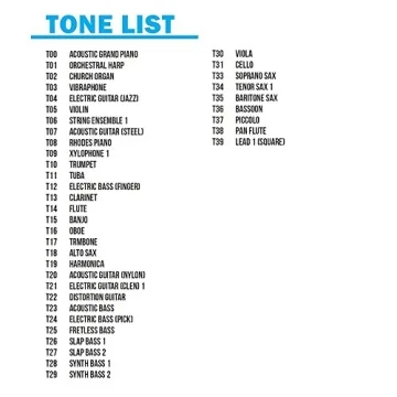 Plixio 61-Key Portable Keyboard for All Ages