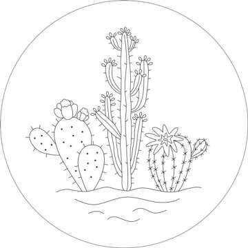 Vibrant Flower & Succulent Embroidery Transfers Set