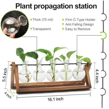 Renmxj Plant Propagation Station, Propagation Vases for Plants, Unique Gardening Birthday Gifts for ...