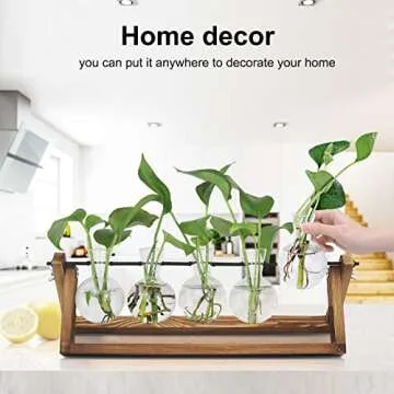 Plant Propagation Station with 5 Glass Vases for Home Decor