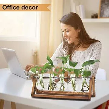 Plant Propagation Station with 5 Glass Vases for Home Decor