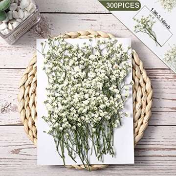 50 Pcs Dried Babys Breath Flowers Bulk Ivory White Babys Breath Real Pressed Flowers Natural Gypsophila for Resin Wedding Art Craft DIY Invitations Scrapbooking Card Making