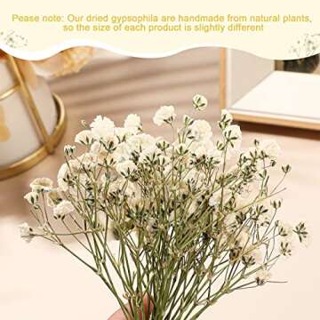 50 Pcs Dried Babys Breath Flowers Bulk Ivory White Babys Breath Real Pressed Flowers Natural Gypsophila for Resin Wedding Art Craft DIY Invitations Scrapbooking Card Making