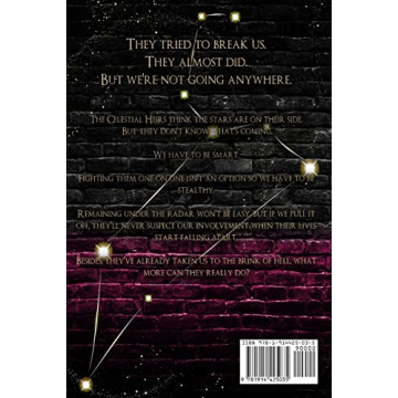 Zodiac Academy 2 Ruthless Fae - Magical Adventure Book