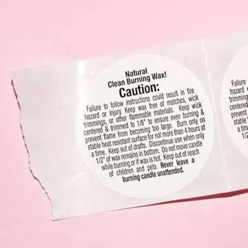 Cool Girl Candles | Lucky Girl Syndrome Coconut + Hibiscus Scented Candle Preppy Pink Aesthetic Room Decor Pastel Danish Y2K Gift for Sister Tiktok Viral Best Friend BFF Bestie for her