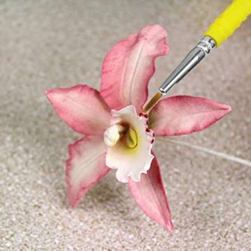 PME Set of 5-Cake Decorating Fine Craft Brushes, Standard, Transparent