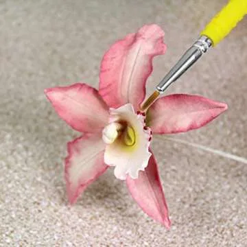 PME Set of 5-Cake Decorating Fine Craft Brushes, Standard, Transparent