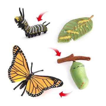 Butterfly Growth Cycle, Animal Growth Cycle Biological Model, Growth Stage Lifelike Butterfly Life C...
