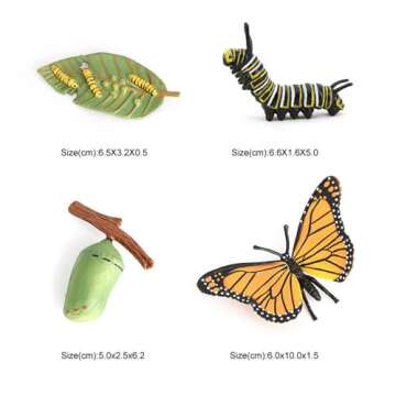 Butterfly Growth Cycle, Animal Growth Cycle Biological Model, Growth Stage Lifelike Butterfly Life Cycle Model Set for Kids Education Insect Themed Party Favors