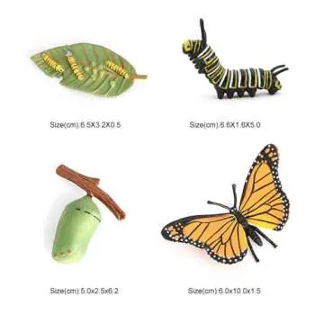 Butterfly Growth Cycle, Animal Growth Cycle Biological Model, Growth Stage Lifelike Butterfly Life Cycle Model Set for Kids Education Insect Themed Party Favors