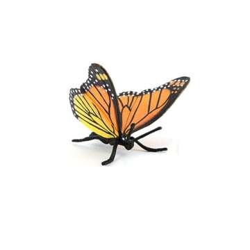 Butterfly Growth Cycle, Animal Growth Cycle Biological Model, Growth Stage Lifelike Butterfly Life Cycle Model Set for Kids Education Insect Themed Party Favors