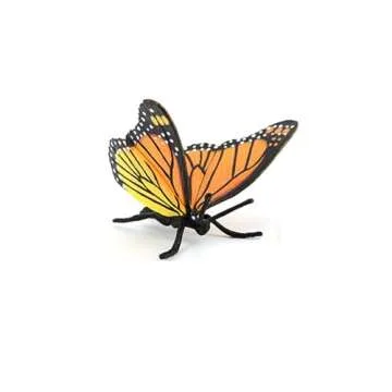 Butterfly Growth Cycle, Animal Growth Cycle Biological Model, Growth Stage Lifelike Butterfly Life Cycle Model Set for Kids Education Insect Themed Party Favors