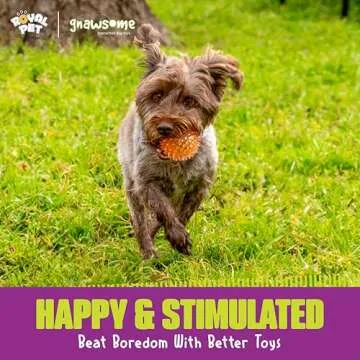 Durable 2.5" Gnawsome Squeaker Ball for Small Dogs