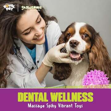 Gnawsome Dog Toys - 2.5” Spiky Squeaker Ball - Small - Dental & Gum Wellness - Stimulating Fun - Hidden Squeaker - Durable for Heavy Chewers - 100% BPA-Free - Assorted Colors