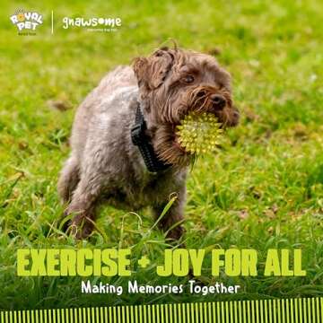 Gnawsome Dog Toys - 2.5” Spiky Squeaker Ball - Small - Dental & Gum Wellness - Stimulating Fun - Hidden Squeaker - Durable for Heavy Chewers - 100% BPA-Free - Assorted Colors