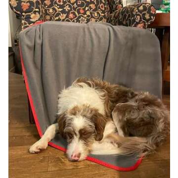 TOP 100% Waterproof Blanket Red/Gray Bed Furniture Protector Ultrasoft Love Blanket Leak Proof for Intimate Couples Play. Keeps Your Bed Free of Wet Spots. for Adults and Pets. Machine Wash/Dry 60x40