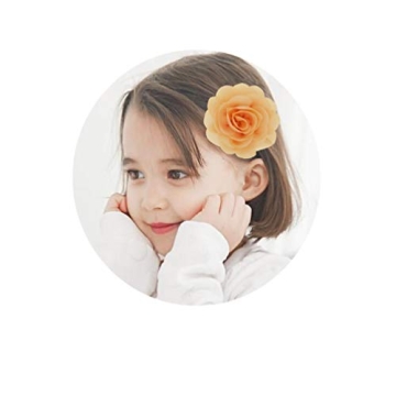 inSowni Colorful Flower Hair Clips for Kids - 24PCS
