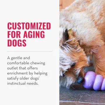 KONG Senior Dog Toy - Gentle Rubber for Comfort