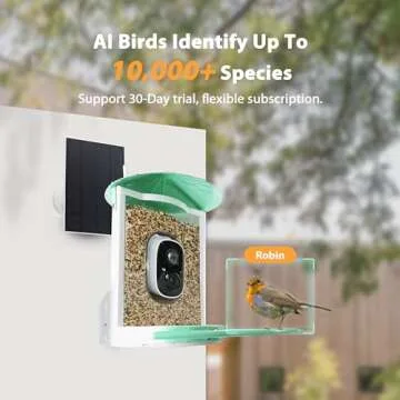 Birdkiss Smart Bird Feeder with Camera Solar, Auto Capture Bird Videos & Motion Detection, Bird Watching Camera Notify in Time, Metal Bird Feeder with Seed Guard, Ideal Present for Bird Lovers (Green)