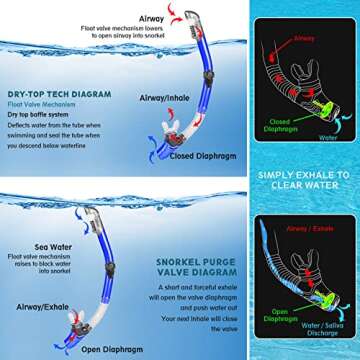 ZEEPORTE Mask Fin Snorkel Set with Adult Snorkeling Gear, Panoramic View Diving Mask, Trek Fin, Dry Top Snorkel +Travel Bags, Snorkel for Lap Swimming
