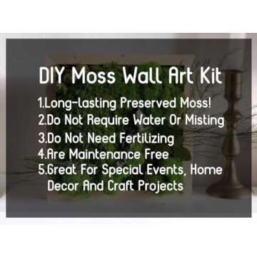 prefleur Preserved Reindeer Craft Moss Natural Green DIY Kit Gardenning Art Wall Decor Florist Easte...