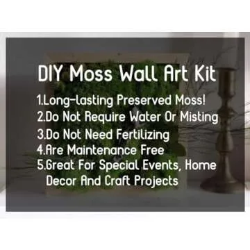 prefleur Preserved Reindeer Craft Moss Natural Green DIY Kit Gardenning Art Wall Decor Florist Easte...