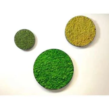 prefleur Preserved Reindeer Craft Moss Natural Green DIY Kit Gardenning Art Wall Decor Florist Easter Table Decor Wedding Decor (0.85lb)(Green-02)